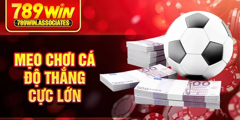Cách Đọc Bảng Cá Độ Bóng Đá 789WIN - Chuẩn Nhất Dễ Hiểu 2 Mẹo chơi cá độ thắng cực lớn